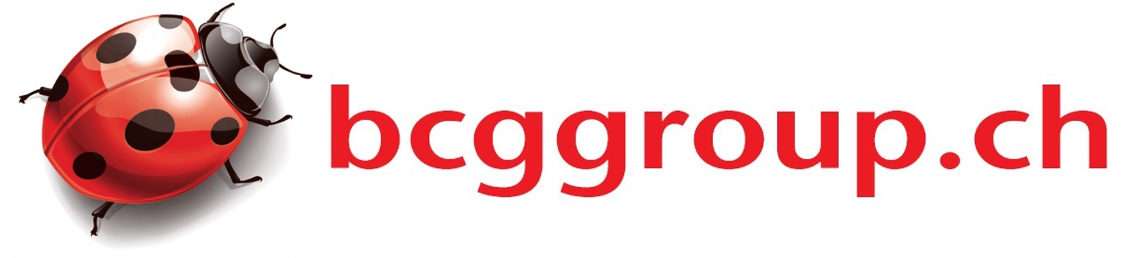 Bcggroup.ch